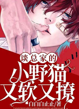谈总家的小野猫又软又撩小说