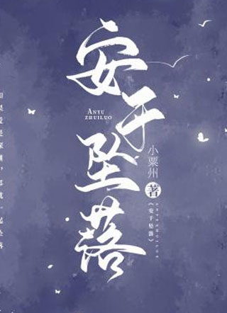安于坠落小说