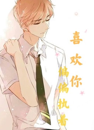 偏偏执着喜欢你小说