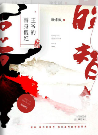 王爷的替身傻妃小说
