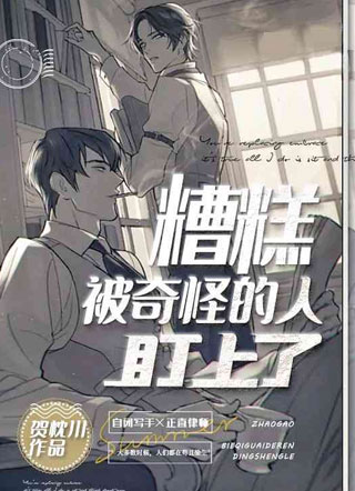 糟糕，被奇怪的人盯上了小说