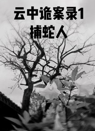 云中诡案录1：捕蛇人小说