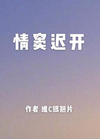 情窦迟开小说