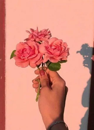 晚夏小说