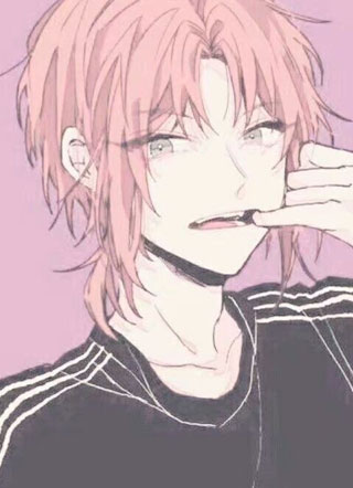 追星指南小说