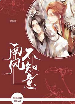 南风不知意小说