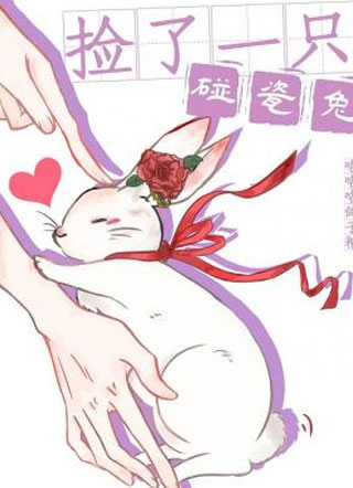 捡了一只碰瓷兔彭辞小说