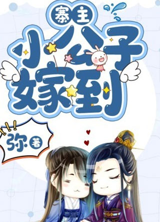 寨主，小公子嫁到小说