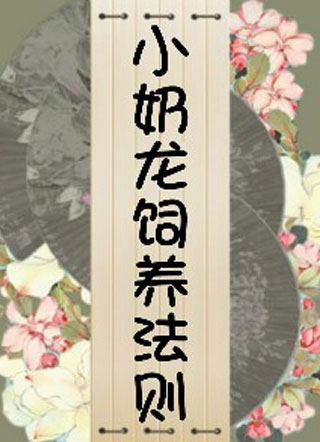 小奶龙饲养法则小说