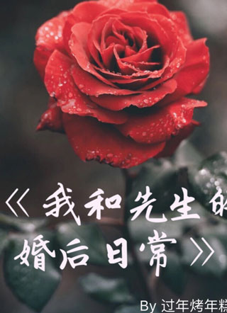 宋清我和先生的婚后日常小说