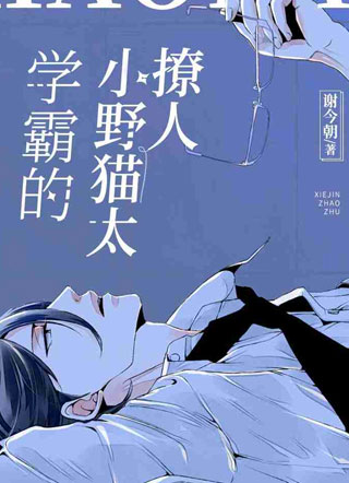 学霸的小野猫太撩人了小说