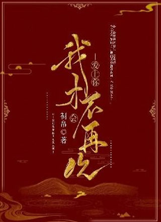 我才不会再次爱上你！小说