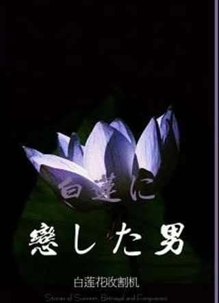 白莲花收割机小说