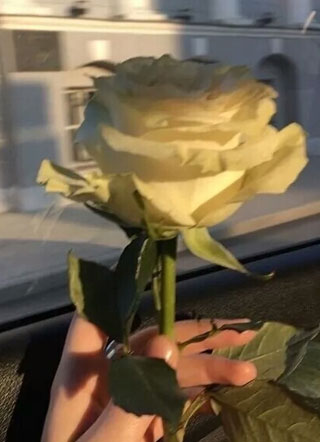 喜欢你的呼吸小说