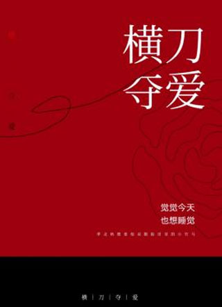 横刀夺爱季北秋小说