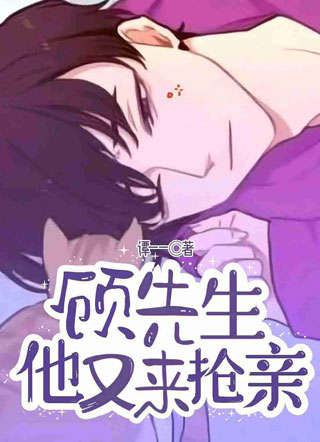 顾先生他又来抢亲小说