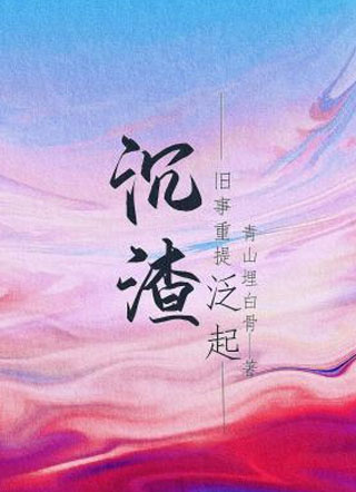 林丛选沉渣泛起小说