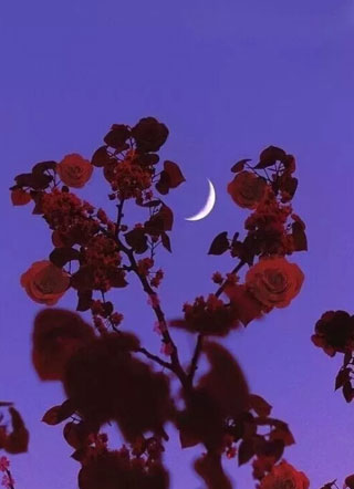 0101觉醒小说