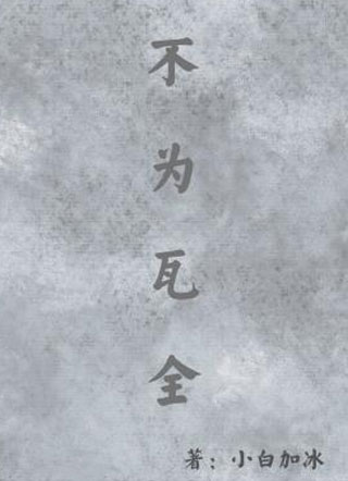 不为瓦全小说