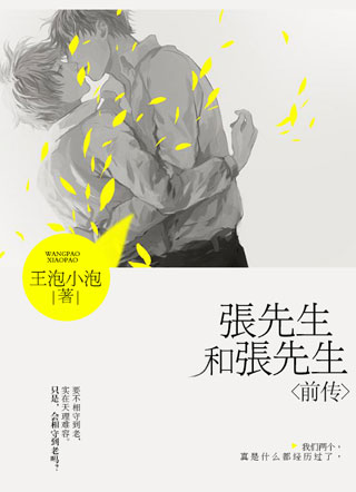 张先生和张先生前传小说