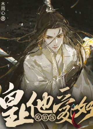 皇上他爱好吃软饭木雨心小说