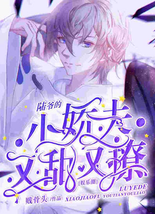 陆爷的小娇夫又甜又撩小说