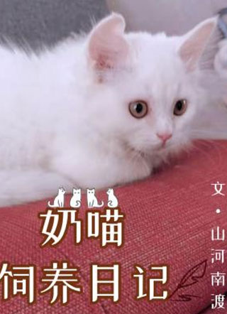 奶喵饲养日记佘褚小说