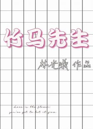 竹马先生小说