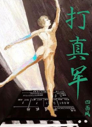 打真军小说