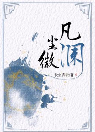 凡尘微澜小说