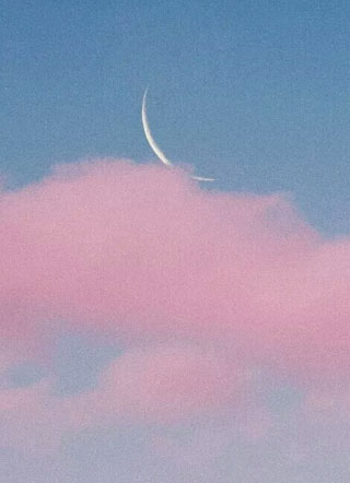 归来发现老攻竟是个海王小说