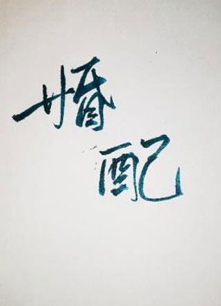 婚配二公子小说
