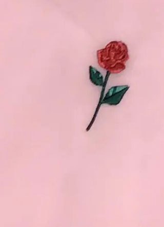 哥哥成男友小说