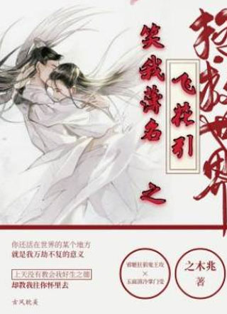 笑我薄名之飞花引小说