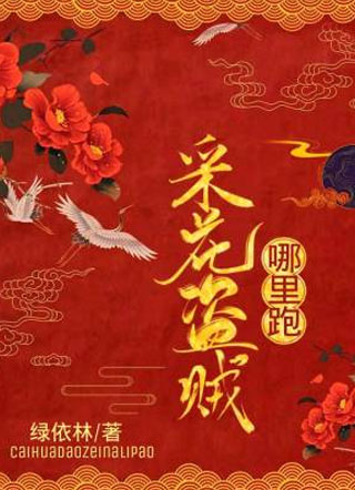 采花盗贼，哪里跑小说