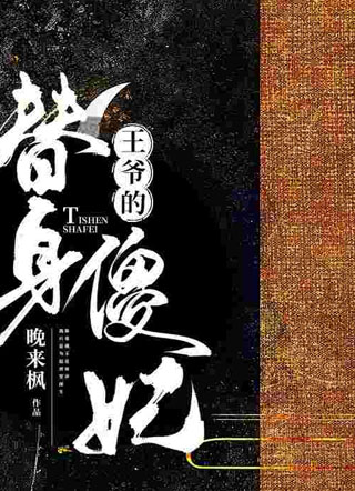 王爷的替身傻妃赵晋堂小说