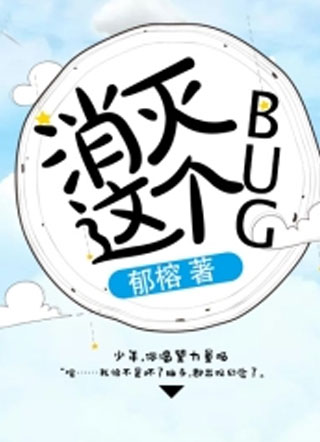 消灭这个bug小说