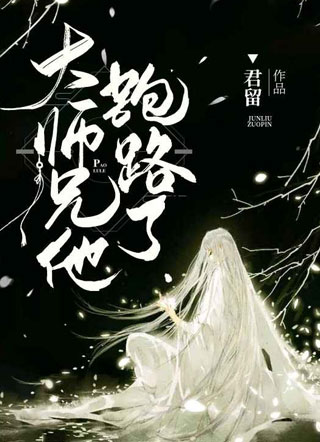 大师兄他跑路了君留小说