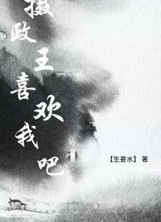 摄政王别喜欢陛下了，喜欢我吧!小说