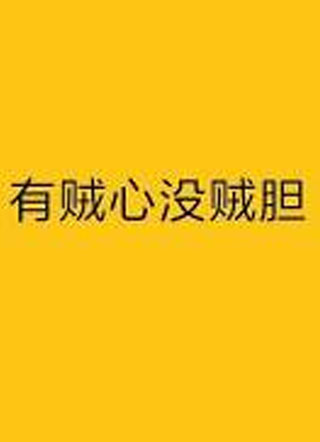 有贼心没贼胆邱淮小说