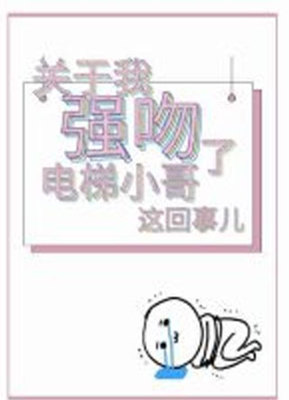 关于我强吻了电梯小哥这回事儿小说