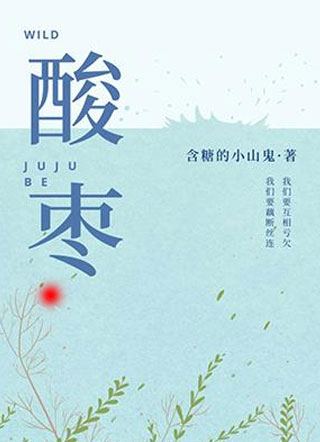 酸枣孟梨小说