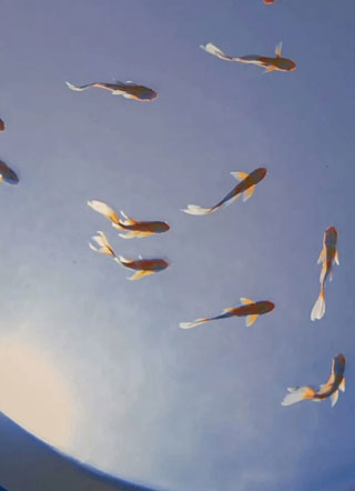 我能再吃一个泡芙吗小说