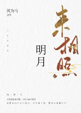 明月来相照小说