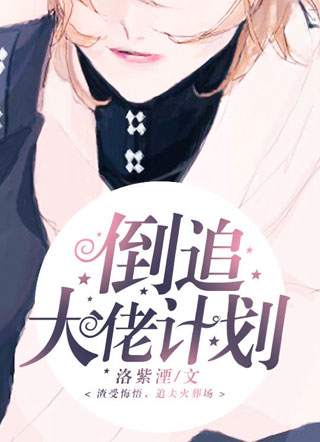 倒追大佬计划小说