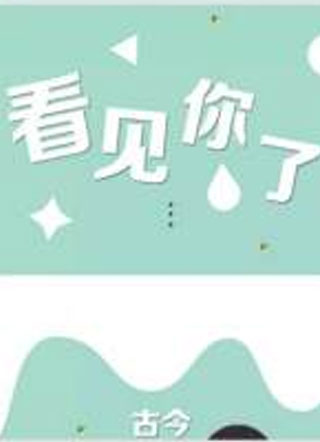 看见你了小说