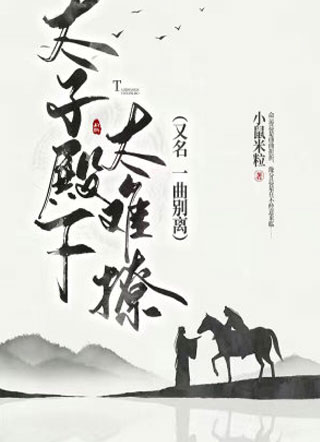 太子殿下太难撩小说