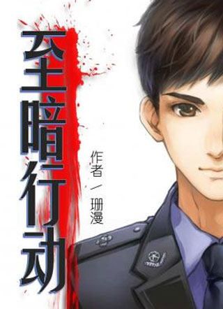 至暗行动小说