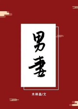 男妻叶清小说