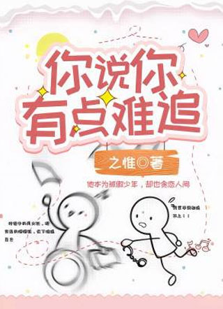 你说你有点难追小说